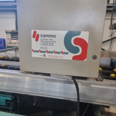 WhatsApp Image 2024-12-16 at 16.45.15