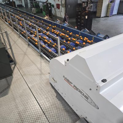 WhatsApp Image 2024-12-18 at 15.14.42 (6)