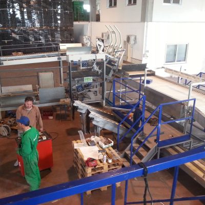 WhatsApp Image 2024-12-19 at 12.20.25 (10)