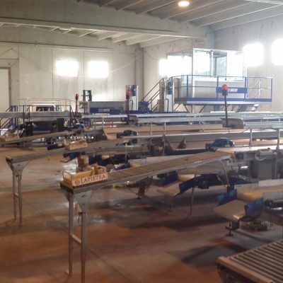 WhatsApp Image 2024-12-19 at 12.20.25 (11)