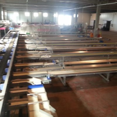 WhatsApp Image 2024-12-19 at 12.20.25 (2)