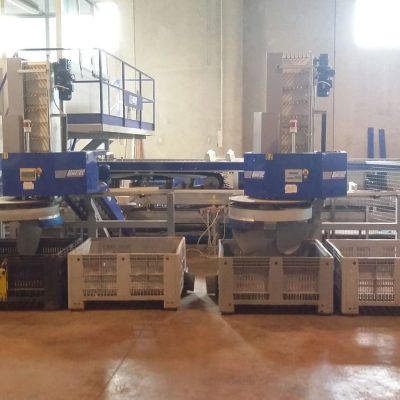 WhatsApp Image 2024-12-19 at 12.20.25 (3)