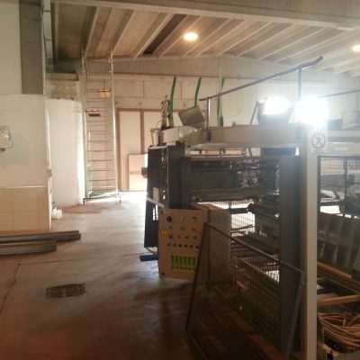 WhatsApp Image 2024-12-19 at 12.20.25 (8)