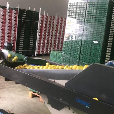 WhatsApp Image 2024-12-20 at 18.36.50 (2)