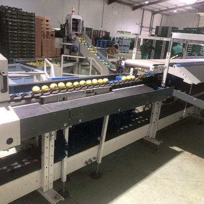 WhatsApp Image 2024-12-20 at 18.36.50 (6)