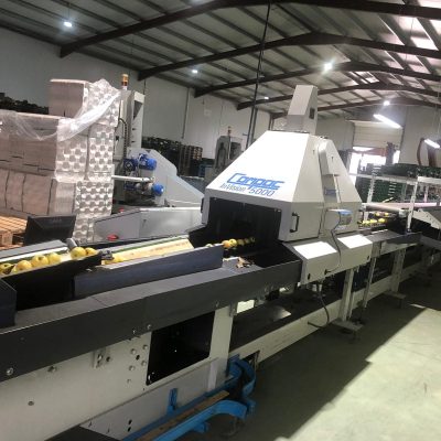 WhatsApp Image 2024-12-20 at 18.36.50 (7)