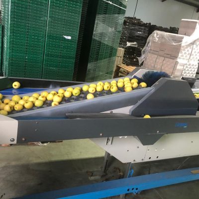 WhatsApp Image 2024-12-20 at 18.36.50 (8)