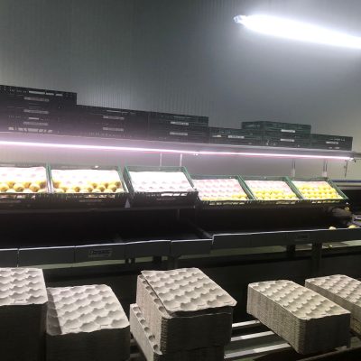 WhatsApp Image 2024-12-20 at 18.36.51 (1)