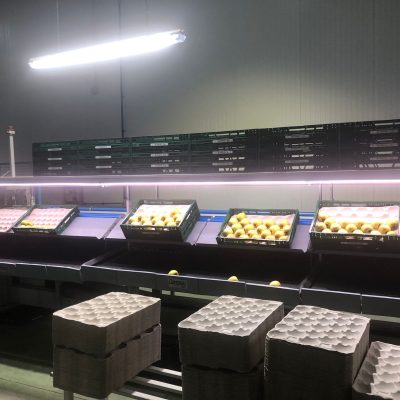 WhatsApp Image 2024-12-20 at 18.36.51 (2)