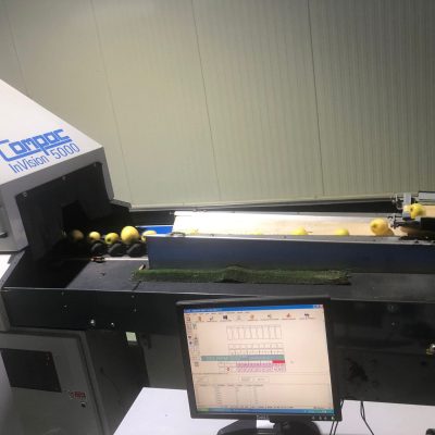 WhatsApp Image 2024-12-20 at 18.36.51 (4)