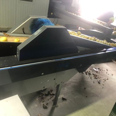 WhatsApp Image 2024-12-20 at 18.36.51 (5)