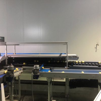 WhatsApp Image 2024-12-20 at 18.36.51