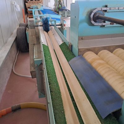 WhatsApp Image 2024-12-21 at 16.56.30