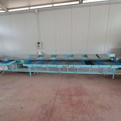 WhatsApp Image 2024-12-21 at 16.56.32