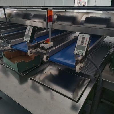 WhatsApp Image 2025-01-03 at 16.04.38 (1)