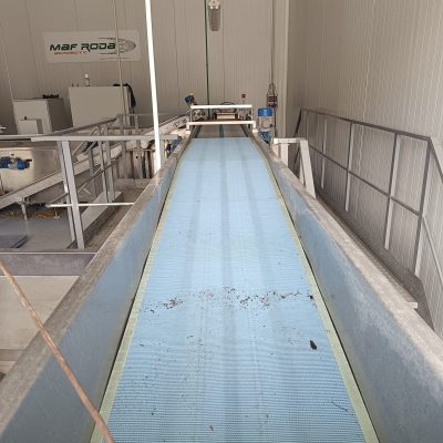 WhatsApp Image 2025-01-03 at 16.04.38 (3)