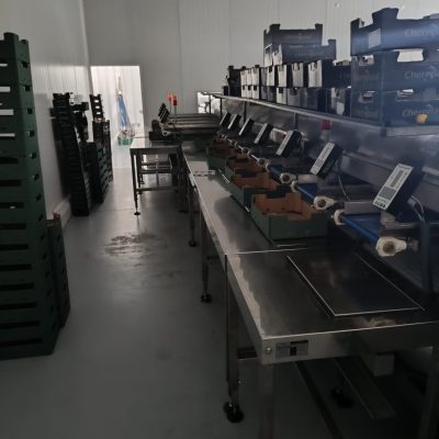 WhatsApp Image 2025-01-03 at 16.04.39 (1)