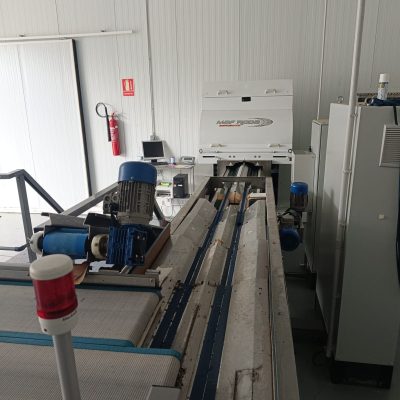 WhatsApp Image 2025-01-03 at 16.04.39 (2)