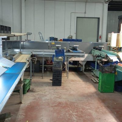 WhatsApp Image 2025-01-10 at 11.48.10 (2)