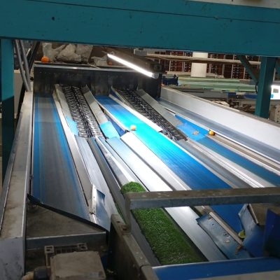 WhatsApp Image 2025-01-10 at 11.48.10 (3)