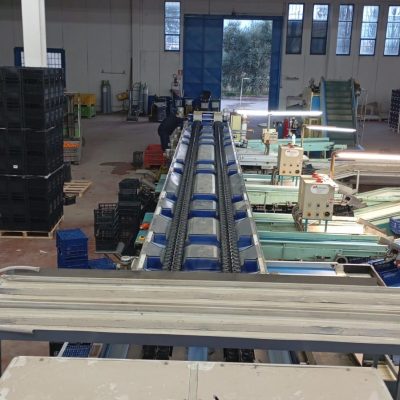 WhatsApp Image 2025-01-10 at 11.48.10 (5)