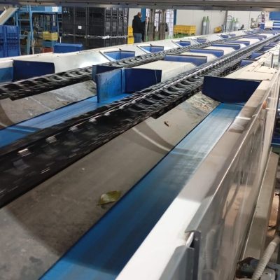 WhatsApp Image 2025-01-10 at 11.48.11 (2)