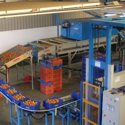 WhatsApp Image 2025-01-10 at 19.17.24 (1)