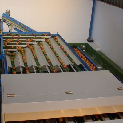 WhatsApp Image 2025-01-10 at 19.17.24 (3)