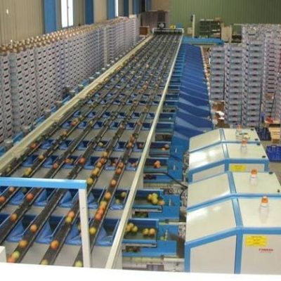 WhatsApp Image 2025-01-10 at 19.17.24