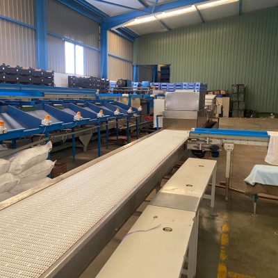 WhatsApp Image 2025-01-10 at 19.17.26 (2)