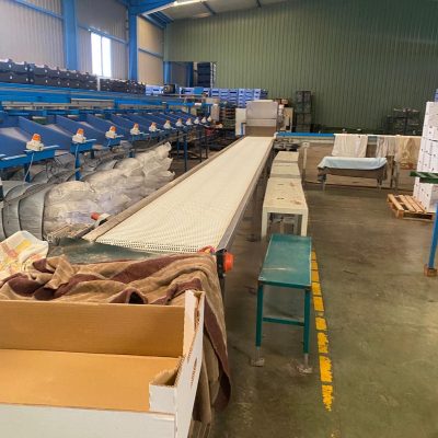 WhatsApp Image 2025-01-10 at 19.17.27