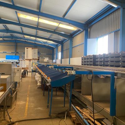 WhatsApp Image 2025-01-10 at 19.17.28 (2)