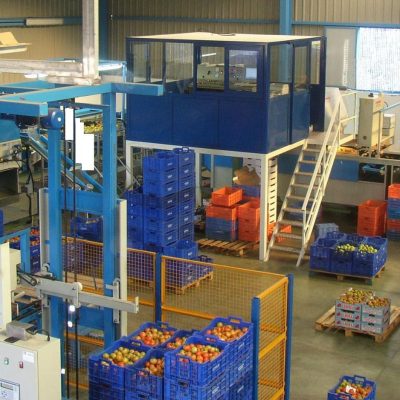 WhatsApp Image 2025-01-10 at 19.17.31 (3)