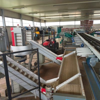 WhatsApp Image 2025-01-13 at 15.41.33 (4)