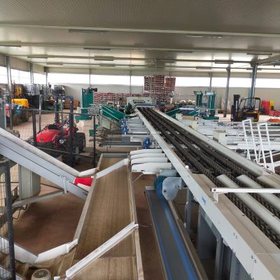 WhatsApp Image 2025-01-13 at 15.41.33 (5)