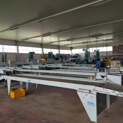 WhatsApp Image 2025-01-13 at 15.41.34 (3)