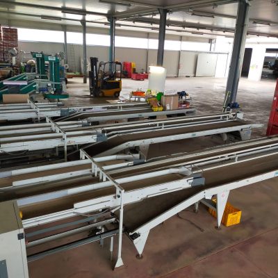 WhatsApp Image 2025-01-13 at 15.41.34 (4)