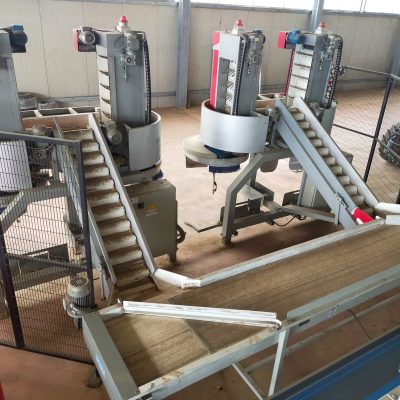 WhatsApp Image 2025-01-13 at 15.41.34 (5)