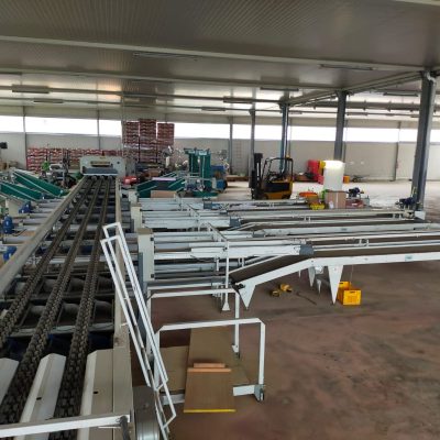 WhatsApp Image 2025-01-13 at 15.41.34 (7)