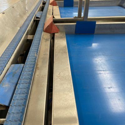 WhatsApp Image 2025-01-14 at 17.20.52 (1)