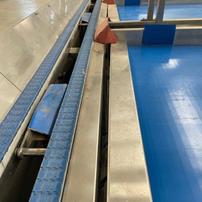 WhatsApp Image 2025-01-14 at 17.20.53