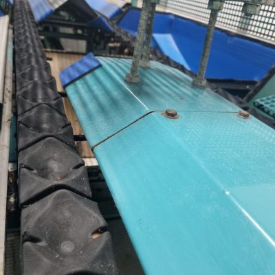 WhatsApp Image 2025-01-23 at 23.51.12