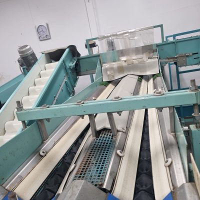 WhatsApp Image 2025-01-23 at 23.51.19