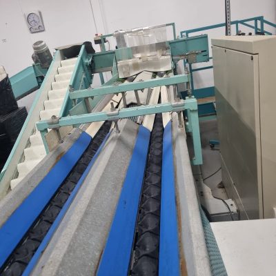 WhatsApp Image 2025-01-23 at 23.51.23