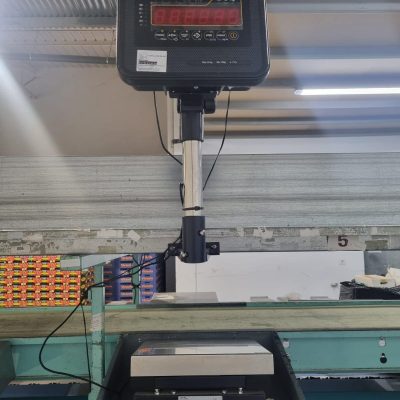 WhatsApp Image 2025-01-23 at 23.51.26