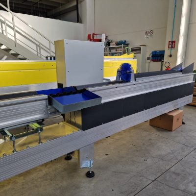 WhatsApp Image 2025-01-30 at 10.31.01 (1)