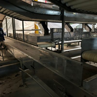 WhatsApp Image 2025-01-31 at 22.50.23 (10) - copia