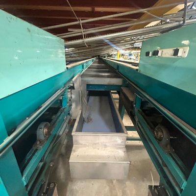 WhatsApp Image 2025-01-31 at 22.50.23 (12) - copia