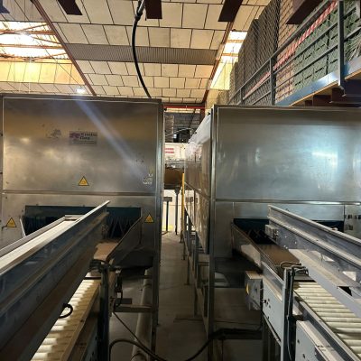 WhatsApp Image 2025-01-31 at 22.50.23 (5) - copia