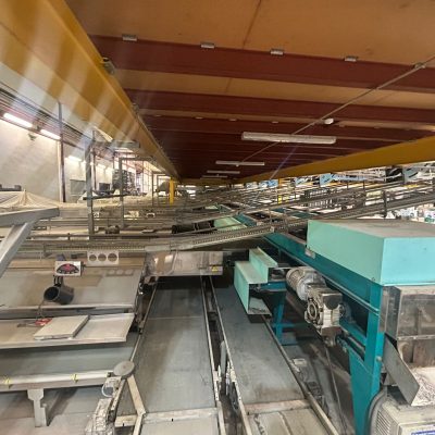 WhatsApp Image 2025-01-31 at 22.50.23 (7) - copia